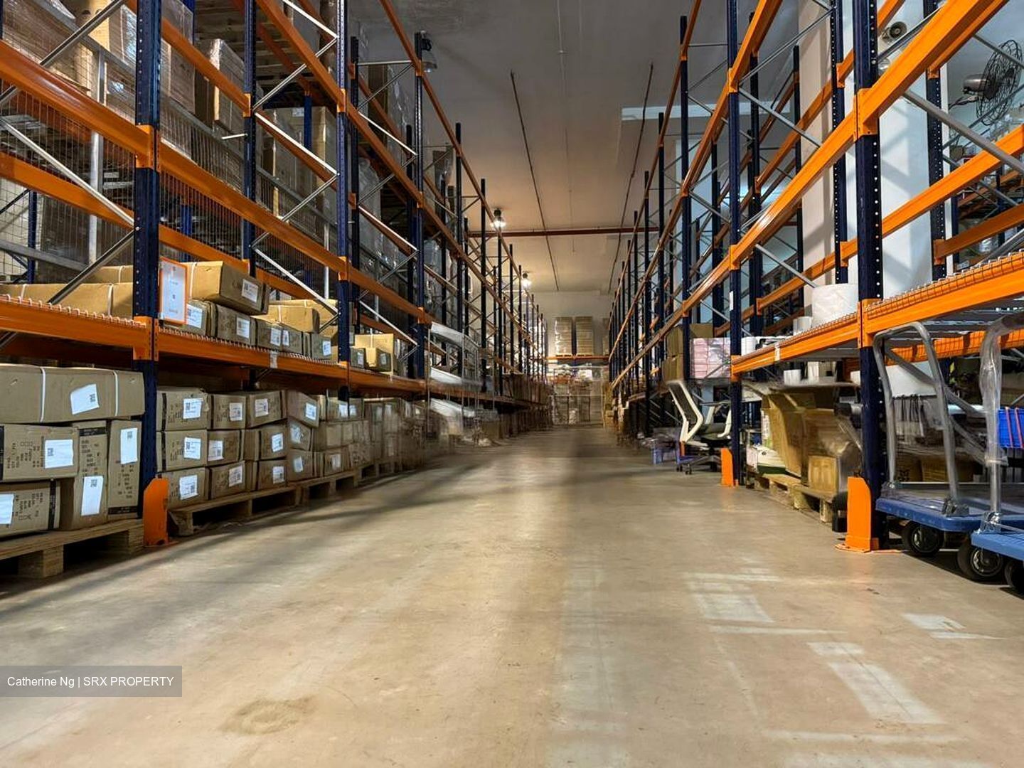 In Space (D19), Warehouse #497407691